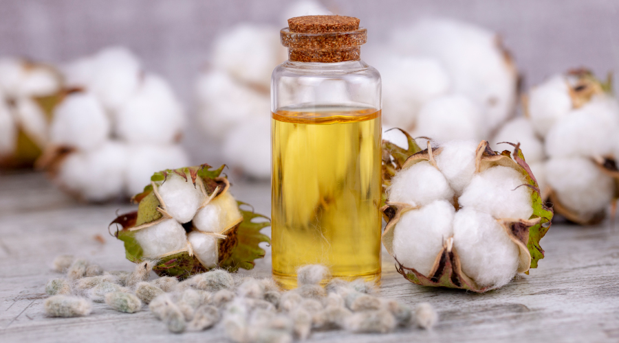 Cotton Seed Oil